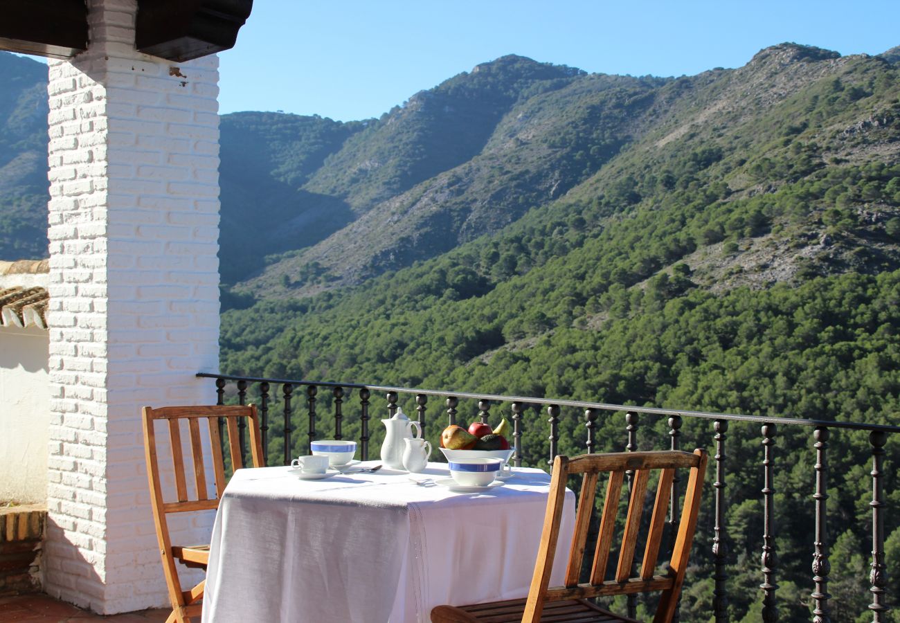 Villa in Alhaurin de la Torre - LAS BREÑAS Premium Rural Villa 4PAX