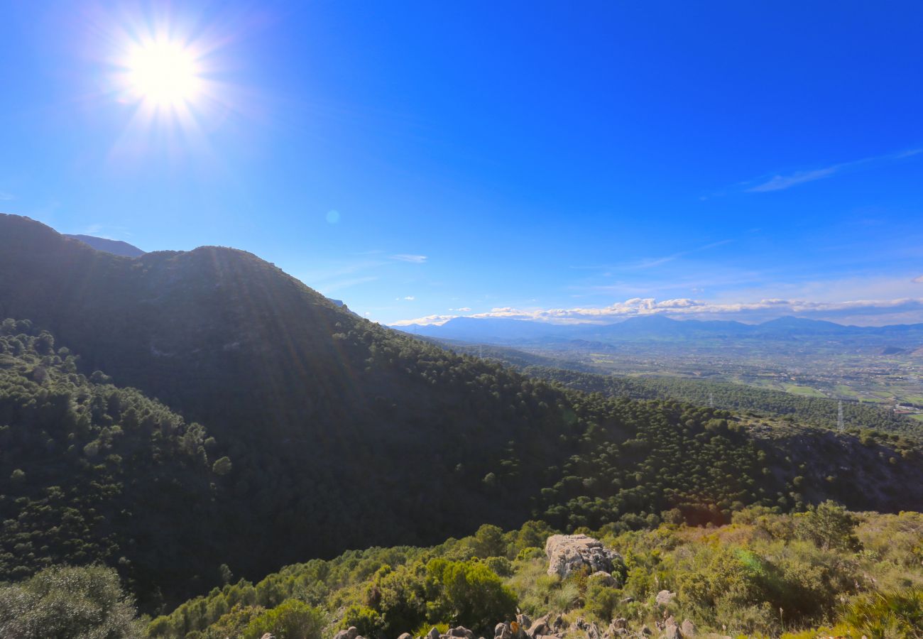 Villa in Alhaurin de la Torre - LAS BREÑAS Premium Rural Villa 4PAX